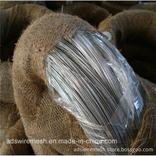 Bwg 16# 18# 20# Hot DIP&Electro Galvanized Soft Binding Wire